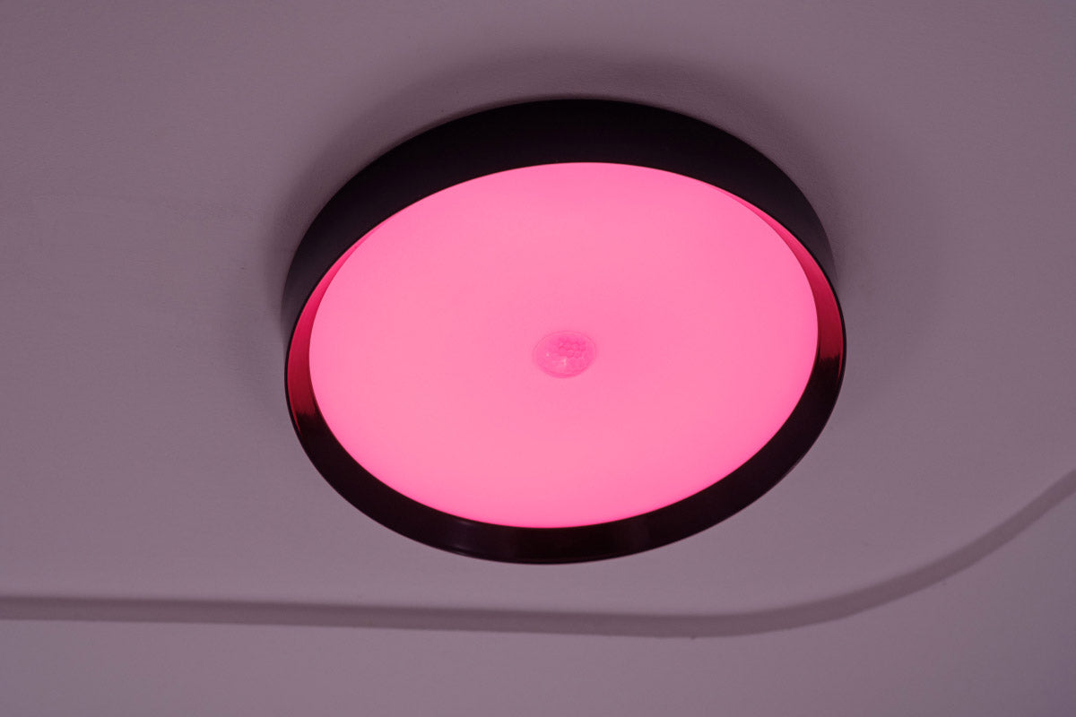 LED Ceiling Light RGBW Tree Anthrazit
