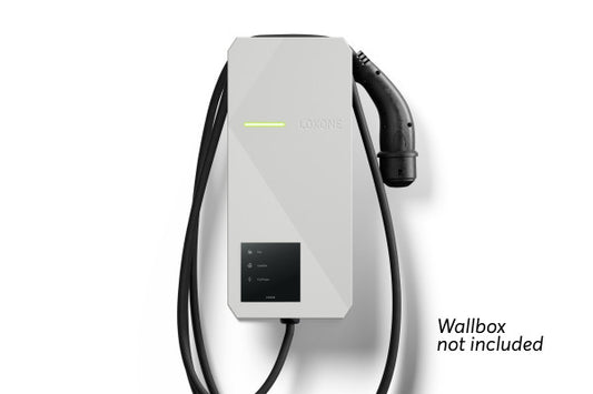 Touch Pure Flex Tree Anthrazit - Wallbox Gen. 1 Auslaufmodell