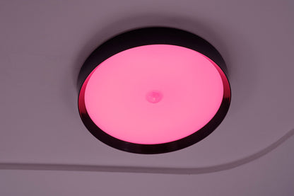 LED Ceiling Light RGBW Tree Anthrazit